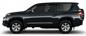 Car Name